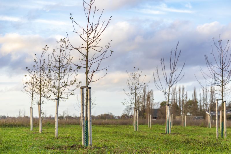 Apple Tree Planting in Ventura County, CA