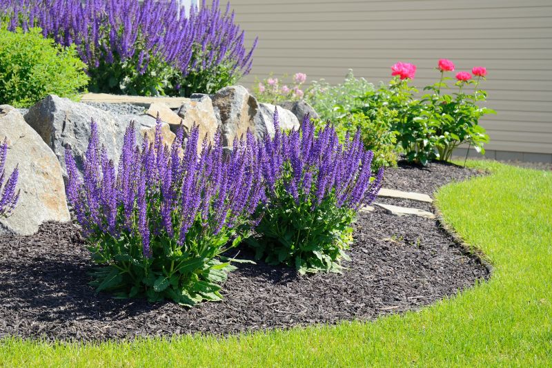 Black Mulch Installation in Honolulu, HI