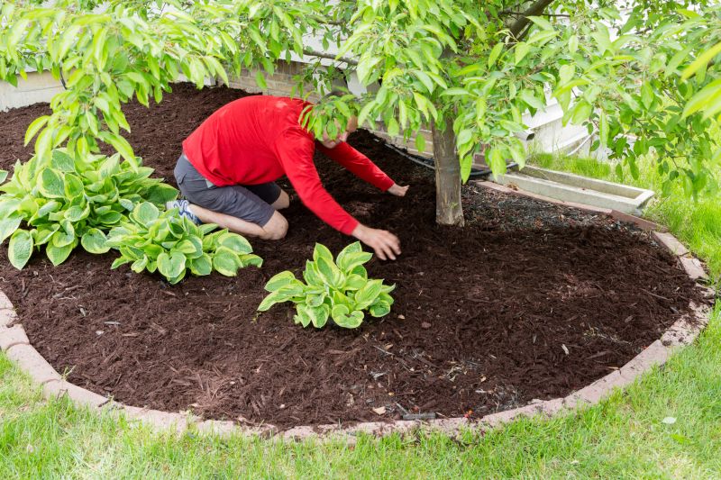 Brown Mulch Installation in Honolulu, HI