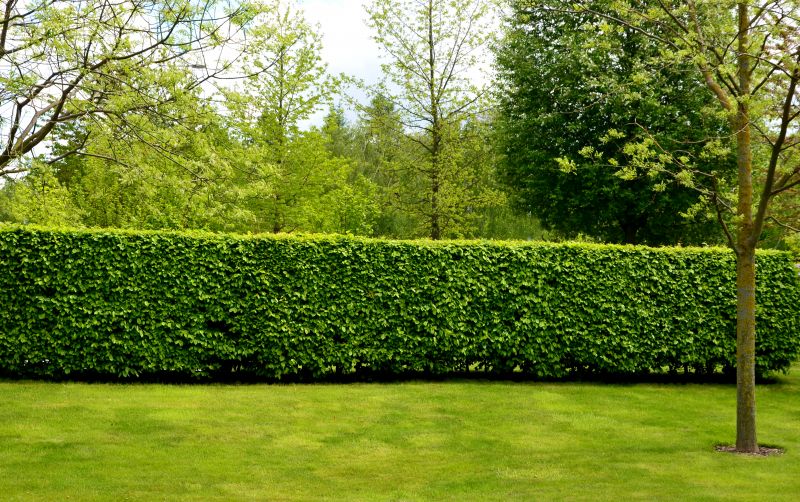 Bush Landscaping in Honolulu, HI
