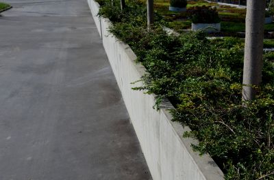 Concrete Curbing Installation in Citrus County, FL
