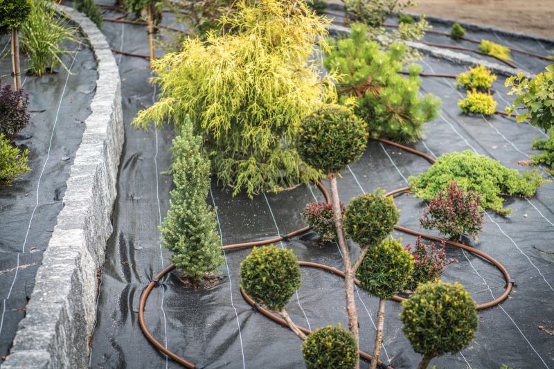 Custom Landscaping in Ventura County, CA