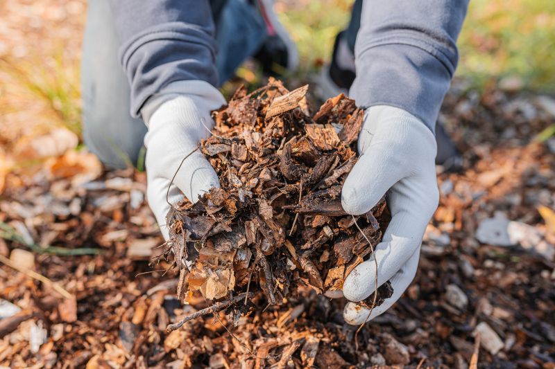 Cypress Mulch Installation in Honolulu, HI