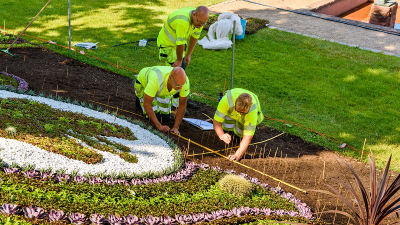 Deck Landscaping Service in Honolulu, HI
