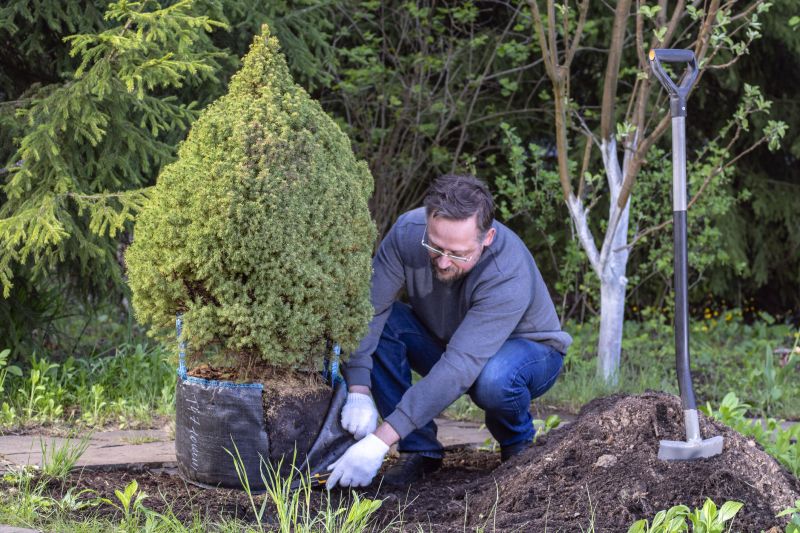Dogwood Tree Planting in Ventura County, CA