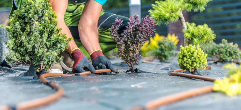 Dryscape Landscaping in Honolulu, HI