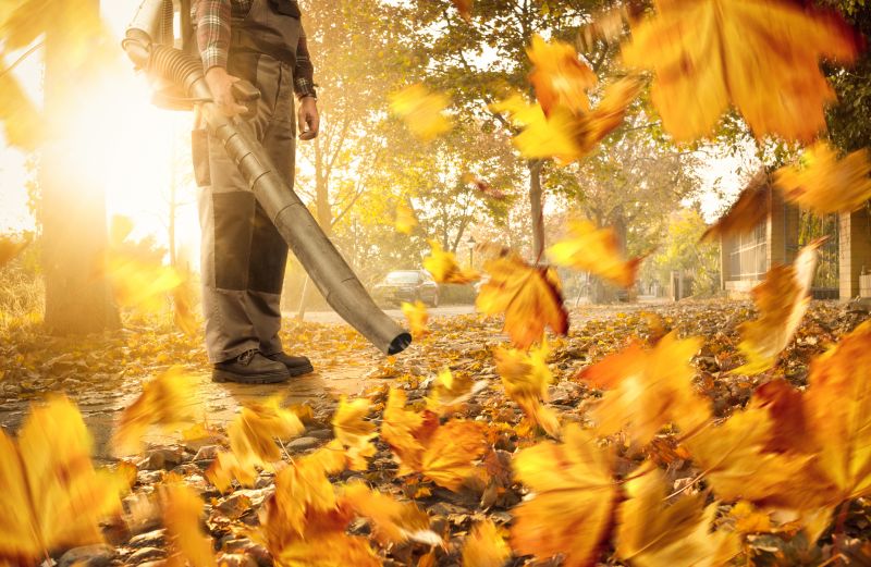 Leaf Blowing for Efficient Clearing