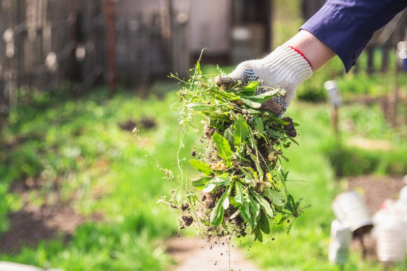 Garden Cleanup Service in Honolulu, HI