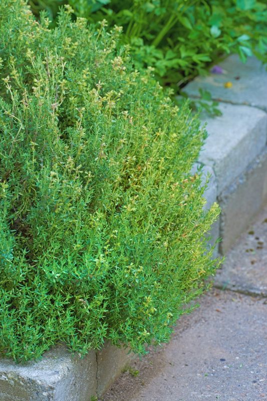 Garden Curbing Installation in Honolulu, HI