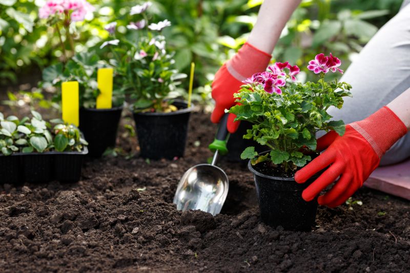 Garden Planting Service in Honolulu, HI