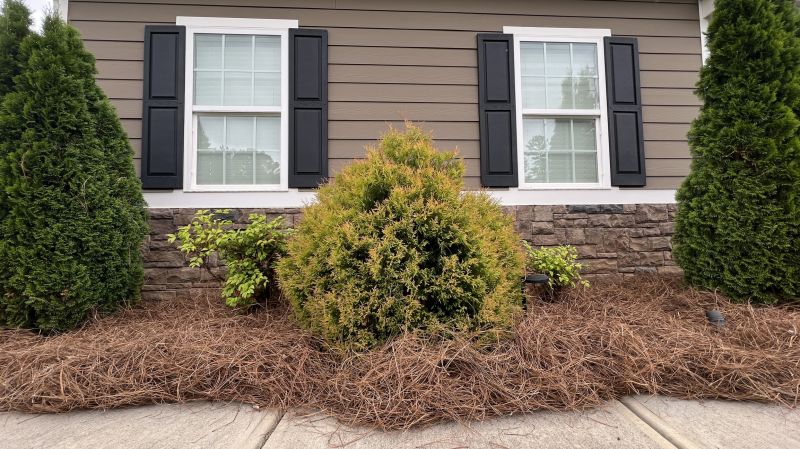 Mulch Installation in Honolulu, HI