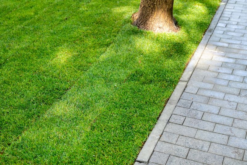 Patio Landscaping Service in Honolulu, HI