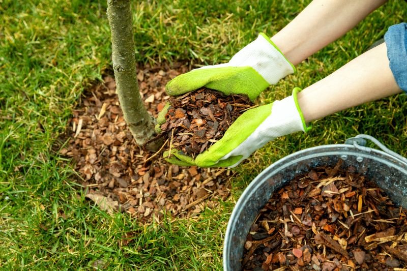 Red Mulch Installation in Honolulu, HI