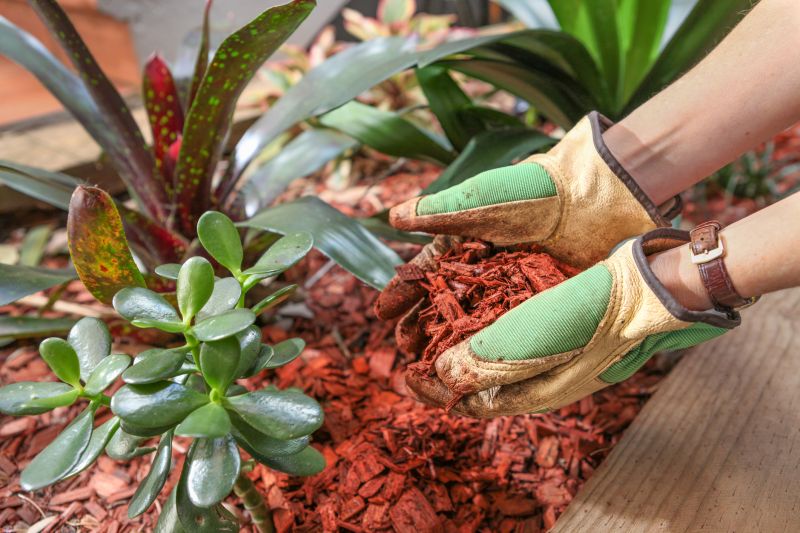 Residential Mulching in Honolulu, HI
