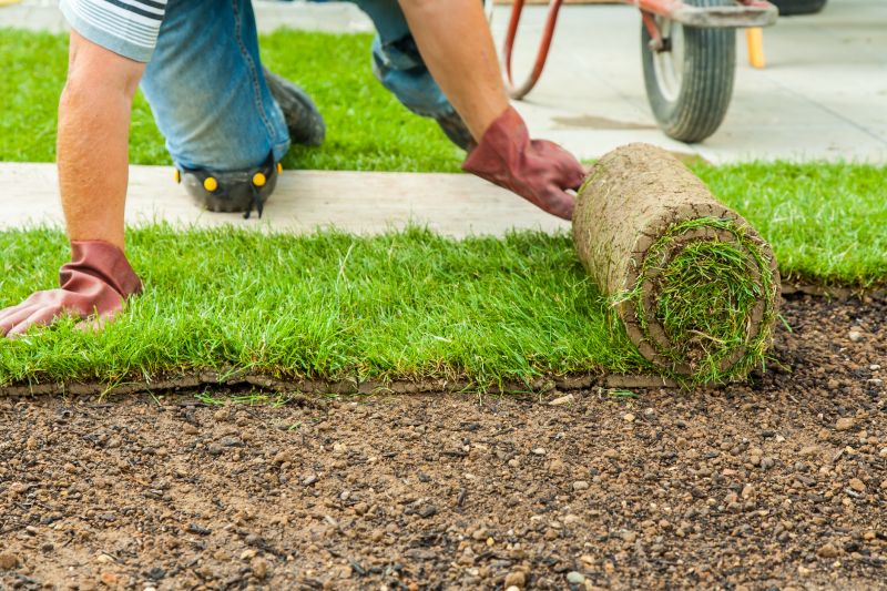 Softscaping Service in Honolulu, HI
