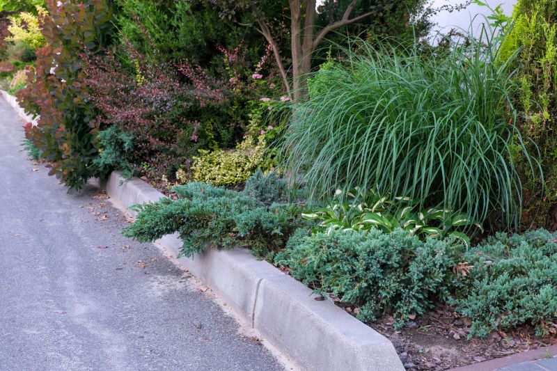 Tree Curbing Installation in Honolulu, HI