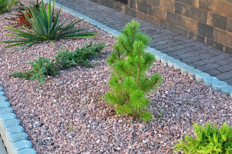 Tree Edging Installation in Honolulu, HI