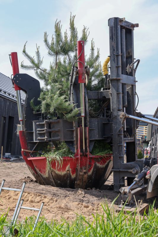 Tree Installation Service in Honolulu, HI