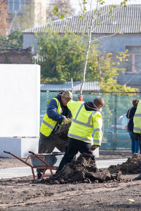 Tree Landscaping in Ventura County, CA