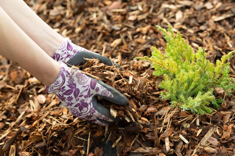 Weeding And Mulching in Ventura County, CA