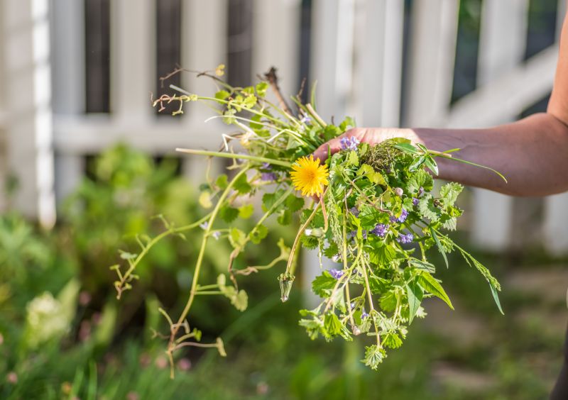 Weeding And Mulching in Ventura County, CA