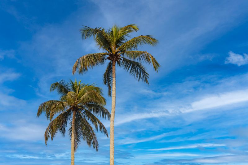 Honolulu, HI