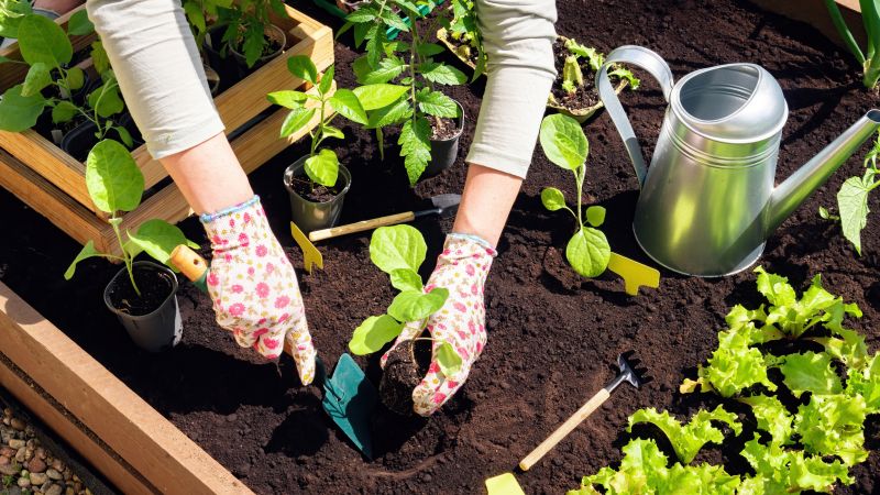 Garden Maintenance Service in Honolulu, HI