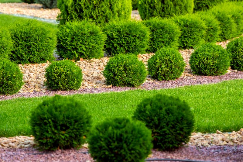 Hedge Landscaping in Honolulu, HI