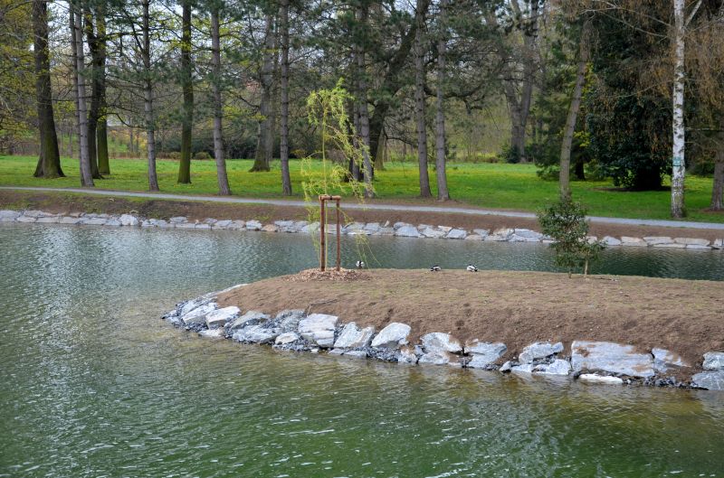Privacy Landscaping in Ventura County, CA